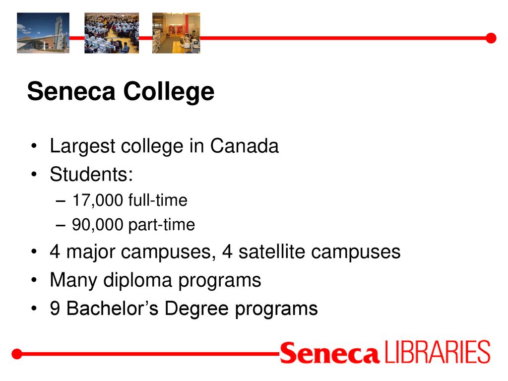 Seneca 2024 college blackboard